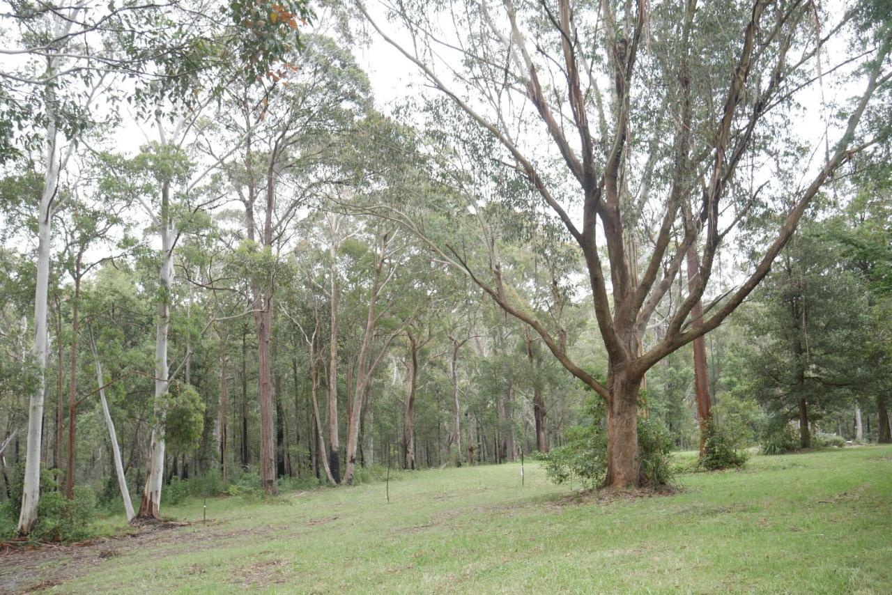 True North - 4Br Home & Garden In Bush Setting With Huge Bath Bilpin Exterior foto